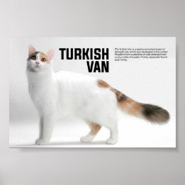 Turkiska Van Cat Breed Poster