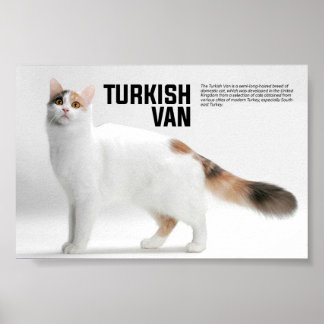 Turkiska Van Cat Breed Poster