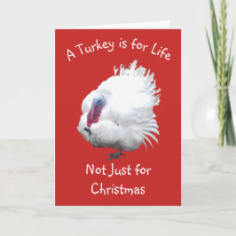 Turkiska Vegan-jul Kort