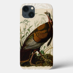 Turkiska Vilden Audubon Bird Painting