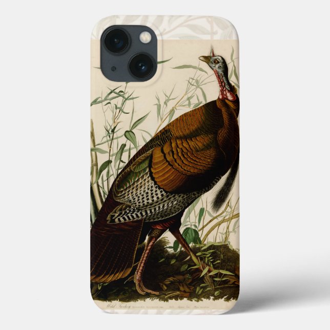 Turkiska Vilden Audubon Bird Painting (Baksida)
