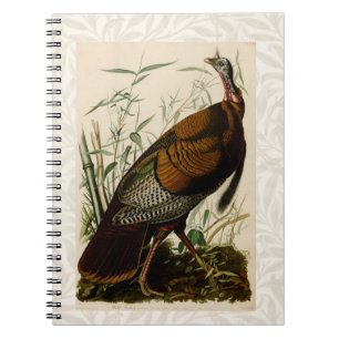 Turkiska Vilden Audubon Bird Painting Anteckningsbok Med Spiral