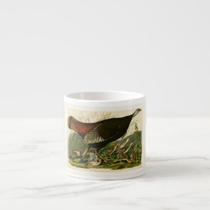 Turkiska Vilden Audubon Bird Painting Espressomugg