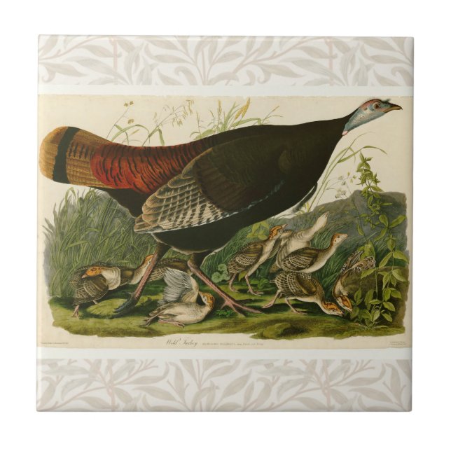 Turkiska Vilden Audubon Bird Painting Kakelplatta (Framsidan)