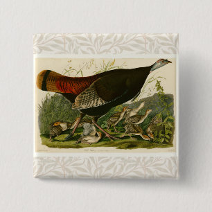 Turkiska Vilden Audubon Bird Painting Knapp