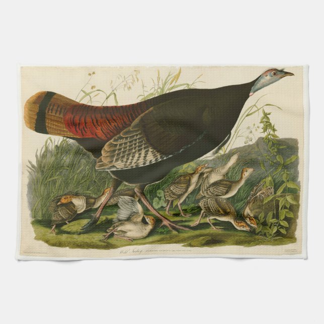 Turkiska Vilden Audubon Bird Painting Kökshandduk (Horisontell)