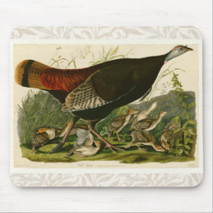 Turkiska Vilden Audubon Bird Painting Musmatta