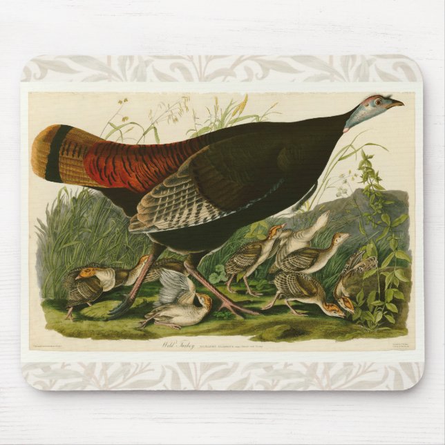 Turkiska Vilden Audubon Bird Painting Musmatta (Framsidan)