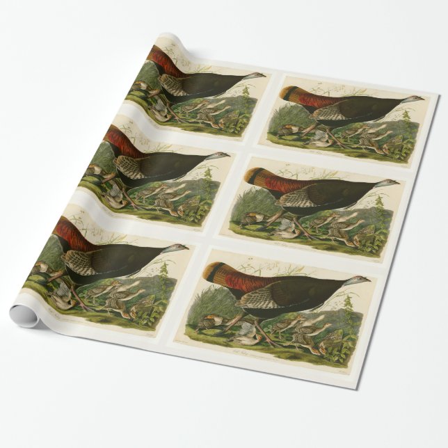 Turkiska Vilden Audubon Bird Painting Presentpapper (Utrullad)