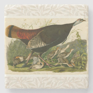 Turkiska Vilden Audubon Bird Painting Stenunderlägg