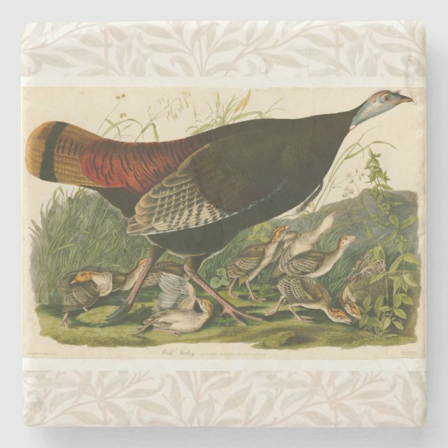 Turkiska Vilden Audubon Bird Painting Stenunderlägg (Framsidan)