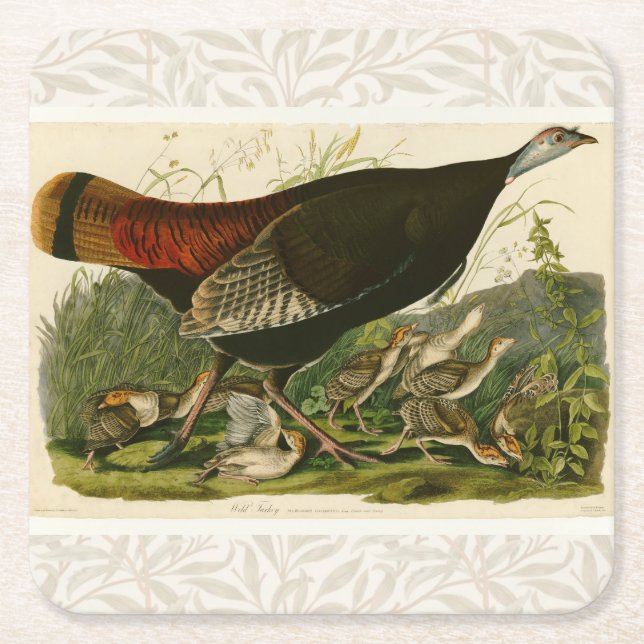 Turkiska Vilden Audubon Bird Painting Underlägg Papper Kvadrat (Framsidan)