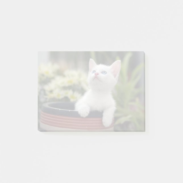 Turkiska vita kattunge post-it block (Framsida)