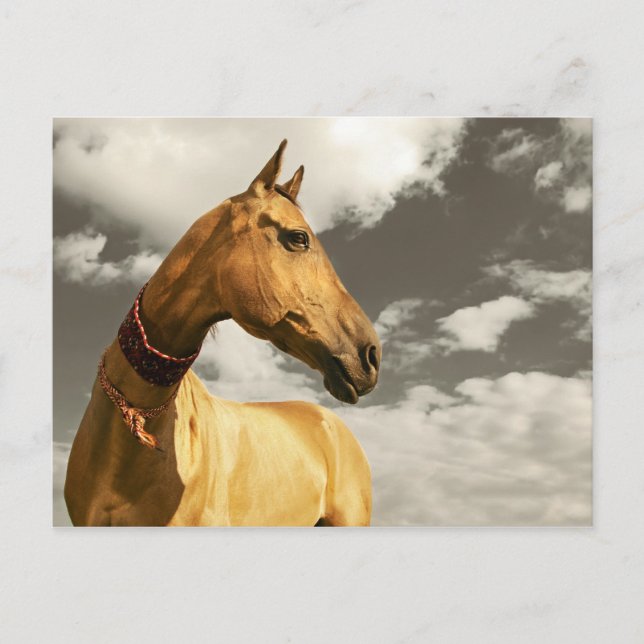 Turkmenistans gyllene häst vykort (Framsida)