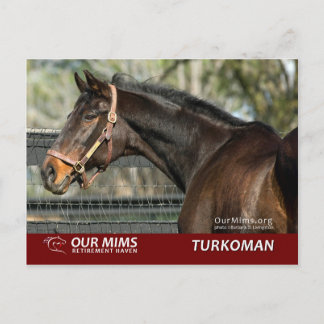 Turkoman-vykort Vykort