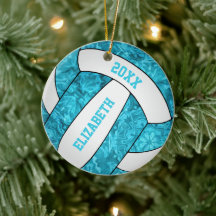 turkos blå, vit, brun volleyball