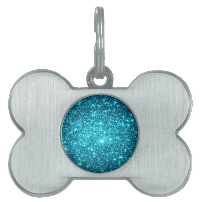 Turkos Glitter Namnbricka Husdjur (Framsidan)