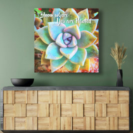 Turkos Grönt Cactus Photo Bloom where Planted Canvastryck