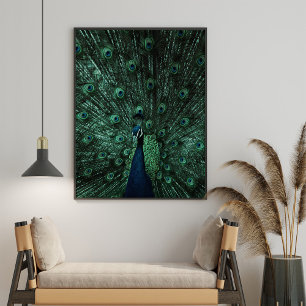 Turkos och Grönt Peacock Wall Art Poster