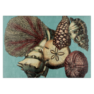 Turkos Snäcka och Röd korallsamling