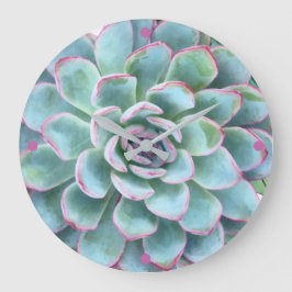 Turkos Succulent Echeveria Stor Klocka