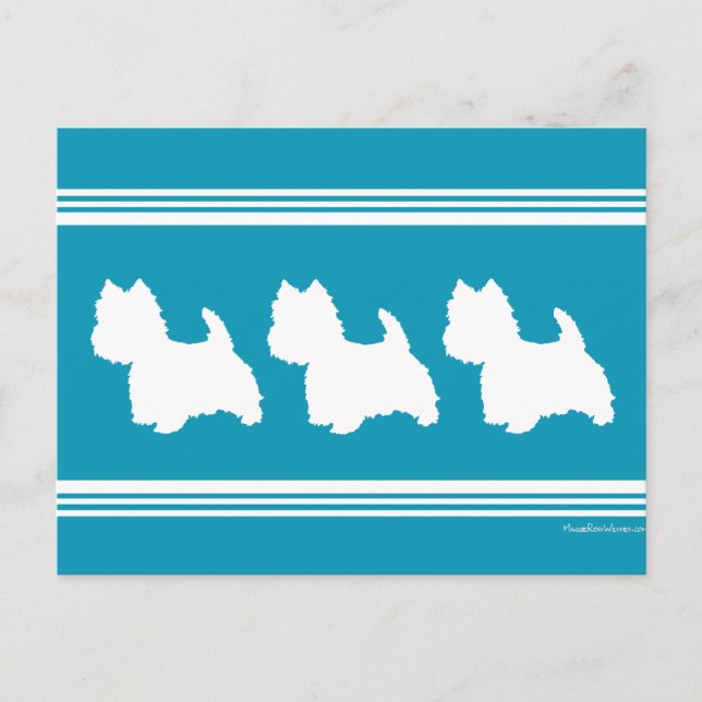 Turkosfärgade Westies Vykort (Framsida)