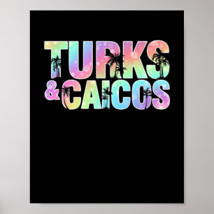 Turks & Caicos Handflatan Träd Souvenir Poster