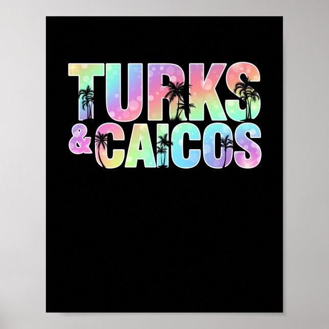 Turks & Caicos Handflatan Träd Souvenir Poster (Framsidan)
