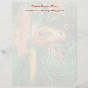 Turks Cap Lily Wildblomma Brevhuvud