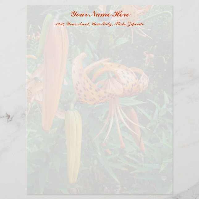 Turks Cap Lily Wildblomma Brevhuvud (Framsida)