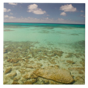 Turks och Caicos, Grand Turk Island, Cockburn 2 Kakelplatta