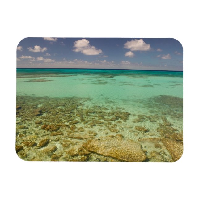 Turks och Caicos, Grand Turk Island, Cockburn 2 Magnet (Horisontell)