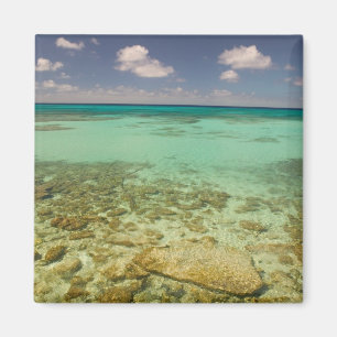Turks och Caicos, Grand Turk Island, Cockburn 2 Magnet