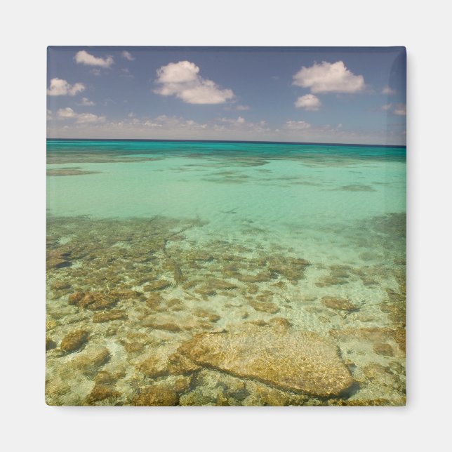 Turks och Caicos, Grand Turk Island, Cockburn 2 Magnet (Framsidan)