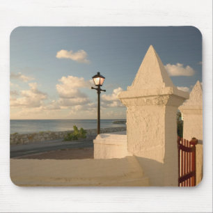 Turks och Caicos, Grand Turk Island, Cockburn Musmatta