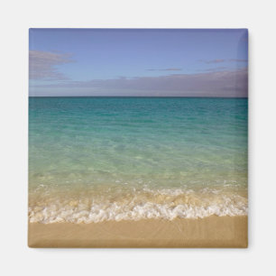 Turks och Caicos, Providenciales Island, Grace 2 Magnet