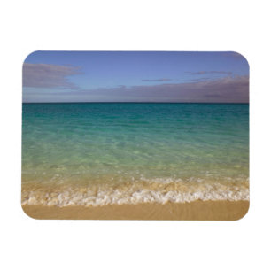 Turks och Caicos, Providenciales Island, Grace 2 Magnet