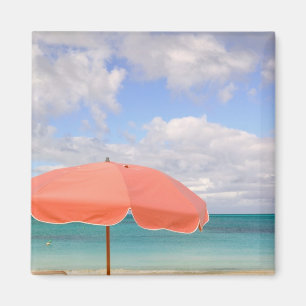 Turks och Caicos, Providenciales Island, Grace Magnet