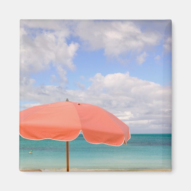 Turks och Caicos, Providenciales Island, Grace Magnet (Framsidan)