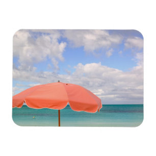 Turks och Caicos, Providenciales Island, Grace Magnet