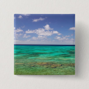Turks- och Caicosöarna, Grand Turk Island, Cockbur Knapp
