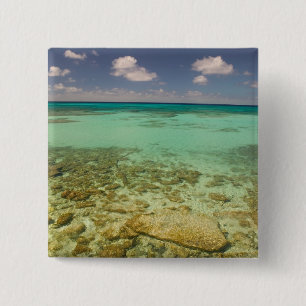 Turks- och Caicosöarna, Grand Turk Island, Cockbur Knapp