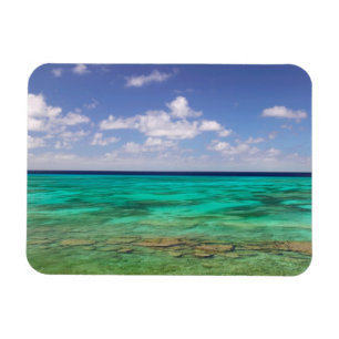 Turks- och Caicosöarna, Grand Turk Island, Cockbur Magnet