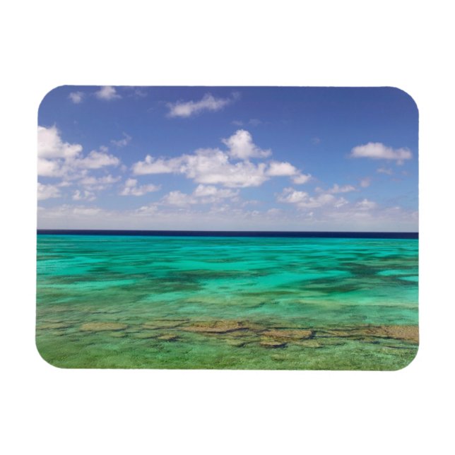 Turks- och Caicosöarna, Grand Turk Island, Cockbur Magnet (Horisontell)