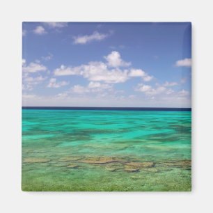 Turks- och Caicosöarna, Grand Turk Island, Cockbur Magnet