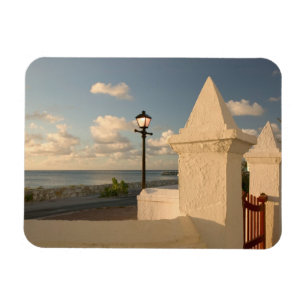 Turks- och Caicosöarna, Grand Turk Island, Cockbur Magnet
