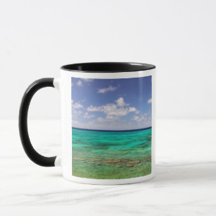 Turks- och Caicosöarna, Grand Turk Island, Cockbur Mugg
