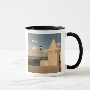 Turks- och Caicosöarna, Grand Turk Island, Cockbur Mugg