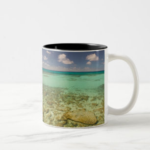 Turks- och Caicosöarna, Grand Turk Island, Cockbur Två-Tonad Mugg