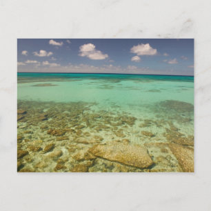Turks- och Caicosöarna, Grand Turk Island, Cockbur Vykort
